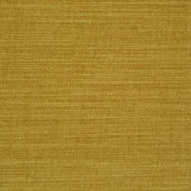 Spencer Velvet 354 - 39 Mustard