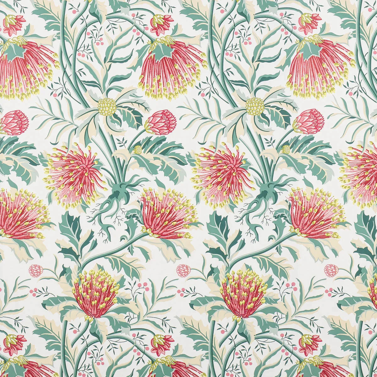 Matchstick Banksia Wallpaper - Pink