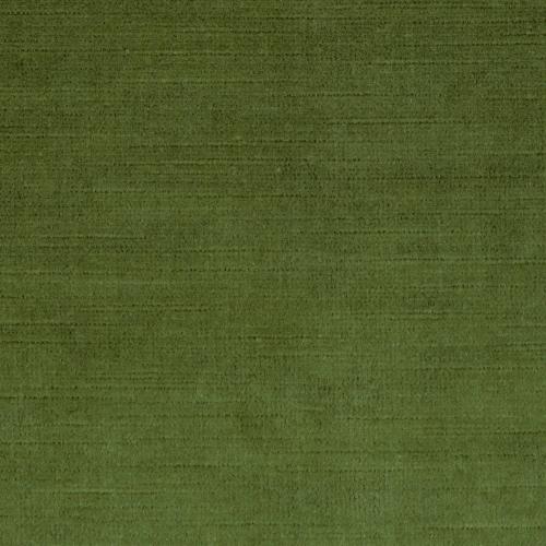 Titian - Olive